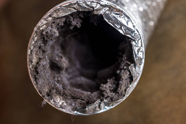 Air Duct Mold Removal in Statesboro, GA