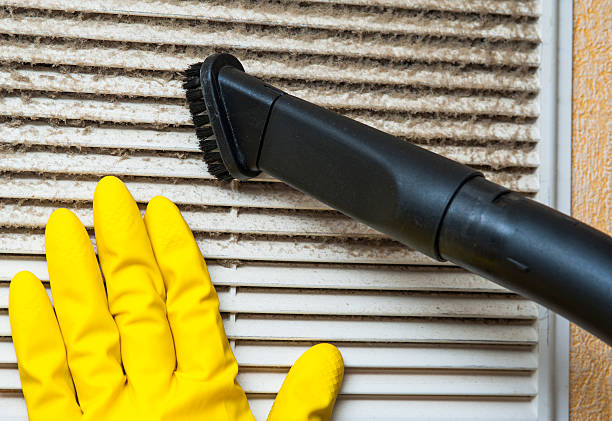 Best HVAC Duct Inspection Services  in Statesboro, GA